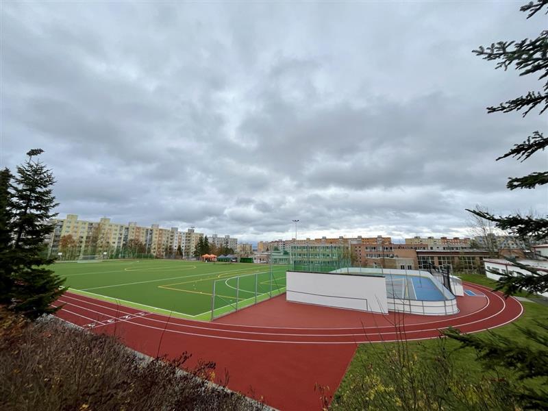 Rekonstrukce sportovního areálu ZŠ, ul. Kralovická, Plzeň - Specialty competency