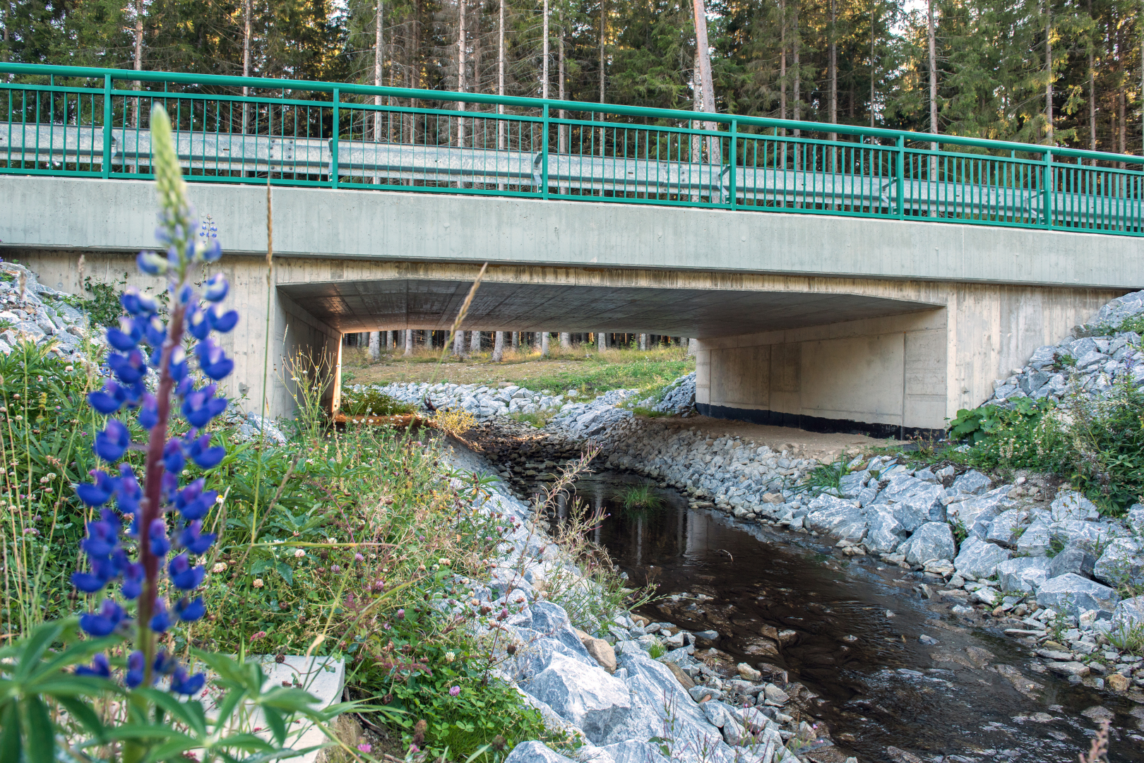 Zadní Zvonková – modernizace přístupu k hraničnímu přechodu CZ/AT - Road and bridge construction