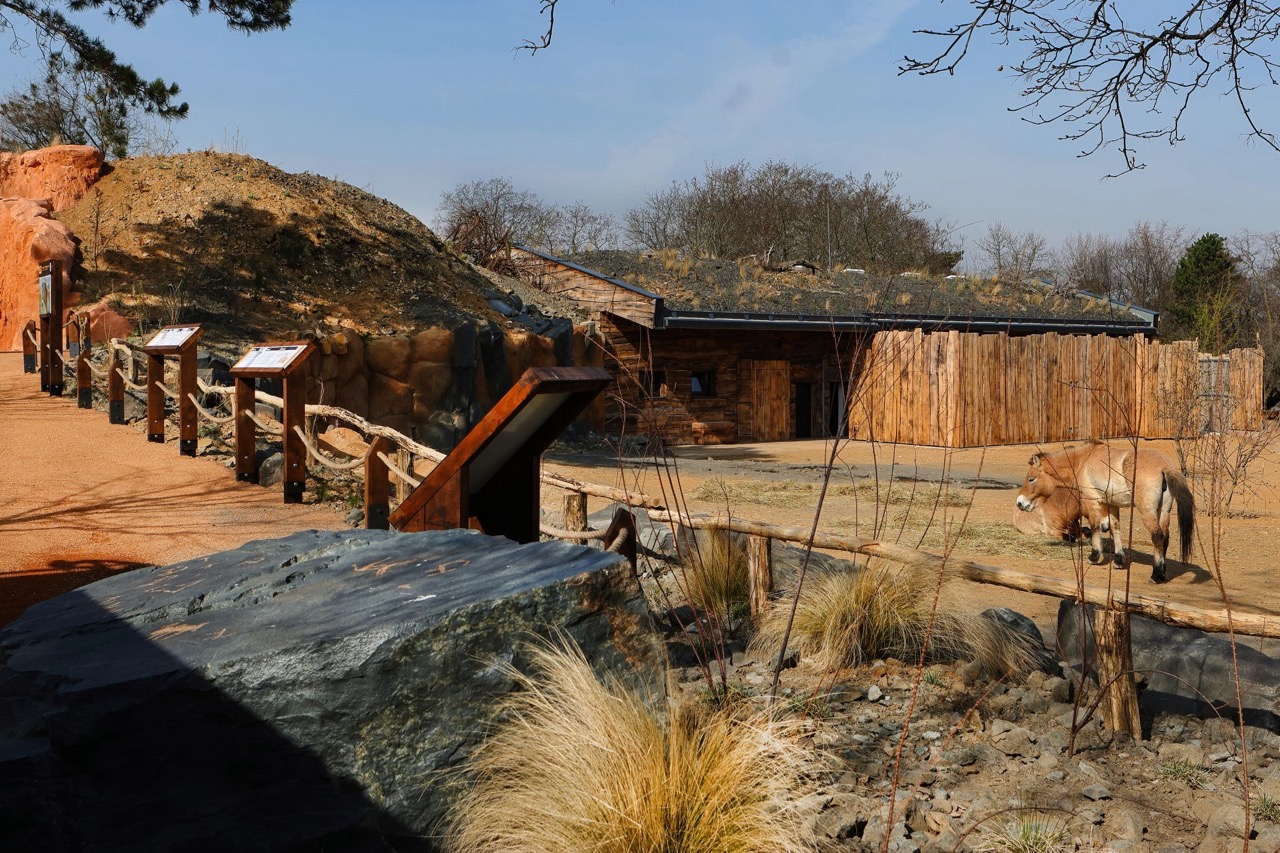 Zoo Praha – výběhy a stáje koní Převalského, pavilon drobných savců a plazů, voliéry manula - Building construction